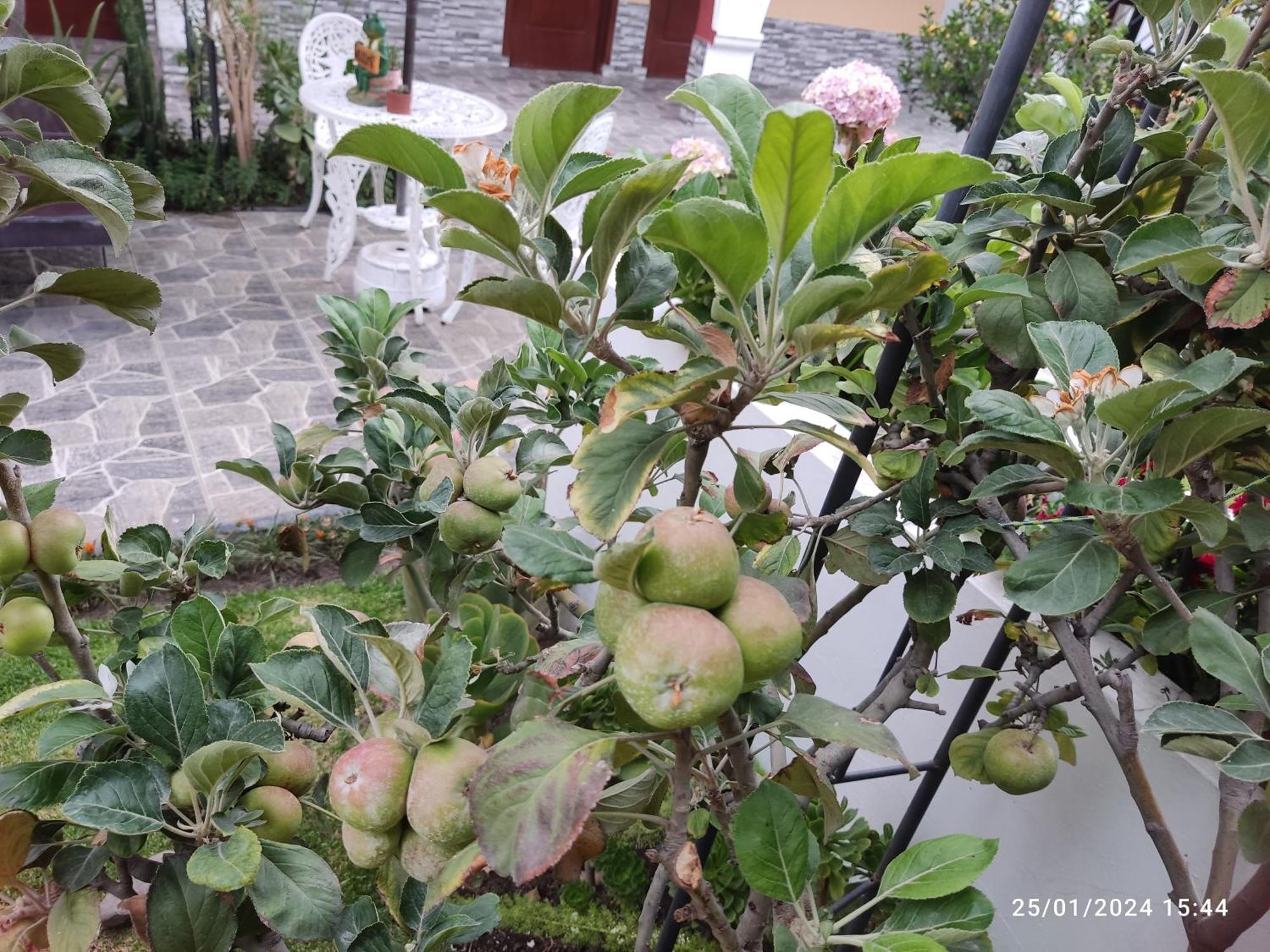 Casa Baraquel Ξενοδοχείο Αρεκίπα Εξωτερικό φωτογραφία