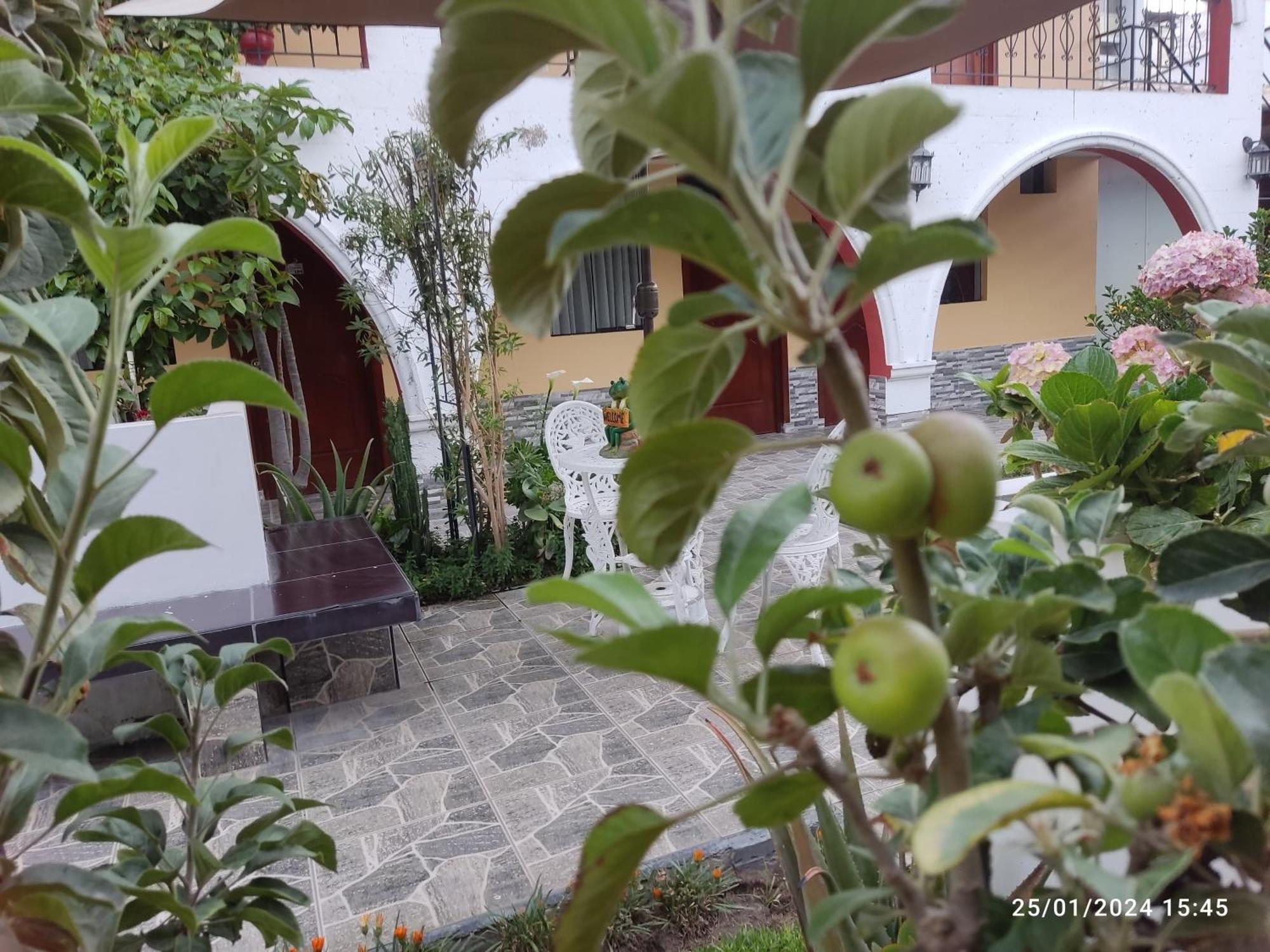 Casa Baraquel Ξενοδοχείο Αρεκίπα Εξωτερικό φωτογραφία